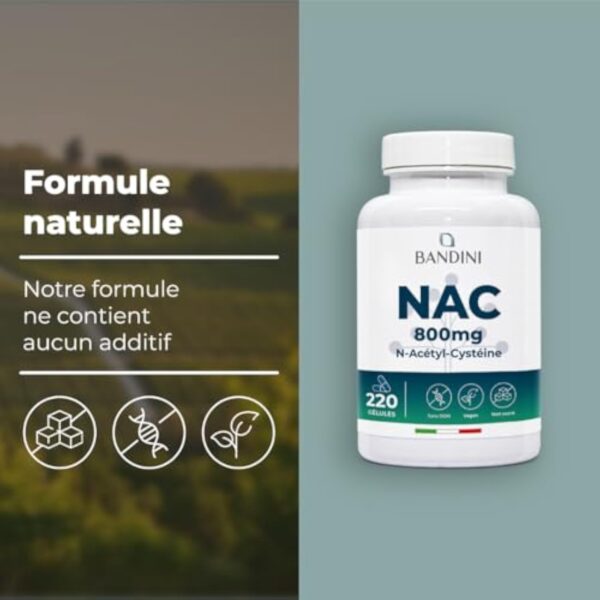 Bandini® NAC 800 mg par capsule | 220 gélules pour +7 mois | N-acétyl-L-cystéine | Haute biodisponibilité et tolérance | Antioxydant Hautement dosé, Qualité supérieure, 100% Végétalien, sans Additifs – Image 5