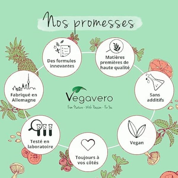 GLUTATHION Liposomal & Réduit PureWay™- G | Avec Précurseurs : NAC, Vitamine C, MSM, Glycine | Antioxydant + Anti age + Immunité | 90 Gélules | Vegan & Sans Additifs | Vegavero® – Image 9