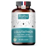 GLUTATHION Réduit à 98% - L-Glutathion avec Précurseurs dont NAC, Acide Alpha-Lipoïque & L-Glycine - Obtenu par Fermentation - Antioxydant - 500 mg Haute Dose - 90 Gélules Végétaliennes
