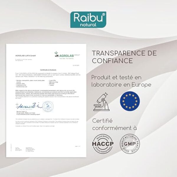 GLUTATHION Réduit à 98% - L-Glutathion avec Précurseurs dont NAC, Acide Alpha-Lipoïque & L-Glycine - Obtenu par Fermentation - Antioxydant - 500 mg Haute Dose - 90 Gélules Végétaliennes – Image 6