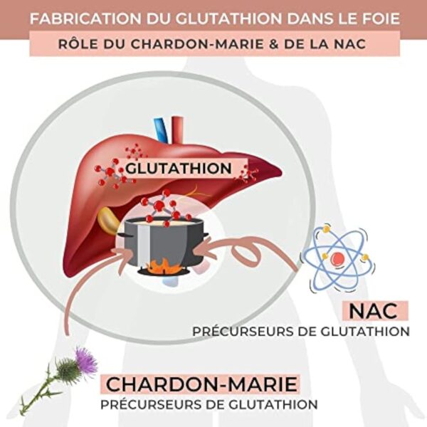 INOLAB Glutathion 400mg NAC Chardon Marie Acérola -Gélules GASTRO RESISTANTES Assimialtion optimisée- Glutathion à fermentation Naturelle - Détox, Immunité -OPTIFORM – Image 5