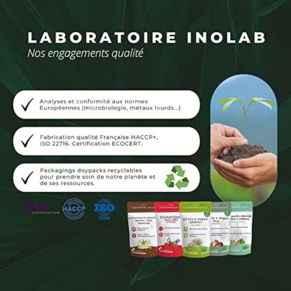 INOLAB Glutathion 400mg NAC Chardon Marie Acérola -Gélules GASTRO RESISTANTES Assimialtion optimisée- Glutathion à fermentation Naturelle - Détox, Immunité -OPTIFORM – Image 8