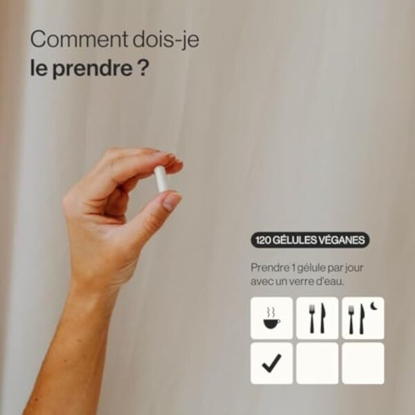 NAC avec L-Glutathion - Formule Premium : Glutathion réduit avec un précurseur N-Acétyl-Cystéine - Fortement Dosé, Haute Biodisponibilité - 120 gélules véganes - Zenement – Image 4