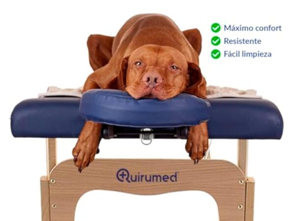 QUIRUMED Table de Massage Pliable en Bois Easy, Couleur Noire, 182 x 60 cm, Similicuir Portable, légère tête Amovible, Trou du Visage, Hauteur réglable jusqu'à 120 kg – Image 4