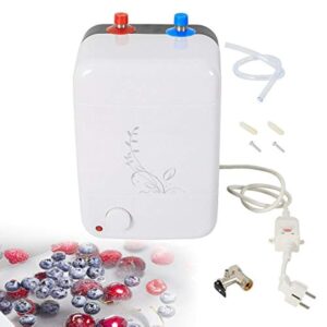 10L Chauffe-Eau Electrique 220V 1500W Ballon d'eau chaude Instantané Convertir de l'Eau froide en Eau chaude pour Laver Température Réglable pour Cuisine Salle