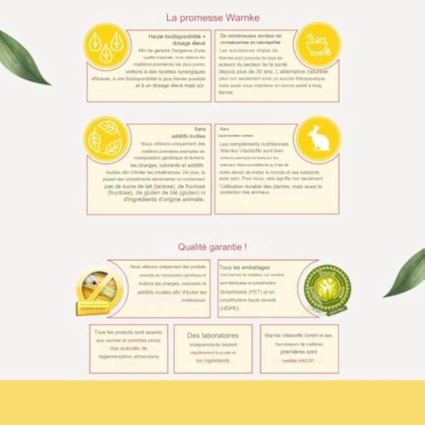 Acétyl-L-carnitine - 750mg - haute dose - vegan - 120 gélules | Warnke Vitalstoffe - Qualité des pharmacies allemandes – Image 6