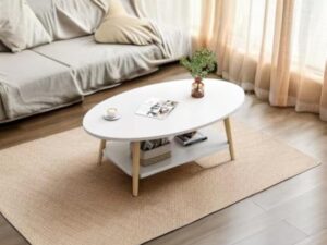 Anmas Power Table Basse Ovale Moderne Table,Double Couche en Bois avec étagère Épaisseur de la Planche 15 mm, Blanc End Table avec Pieds en pin pour Salon et Appartement(100x40x40)