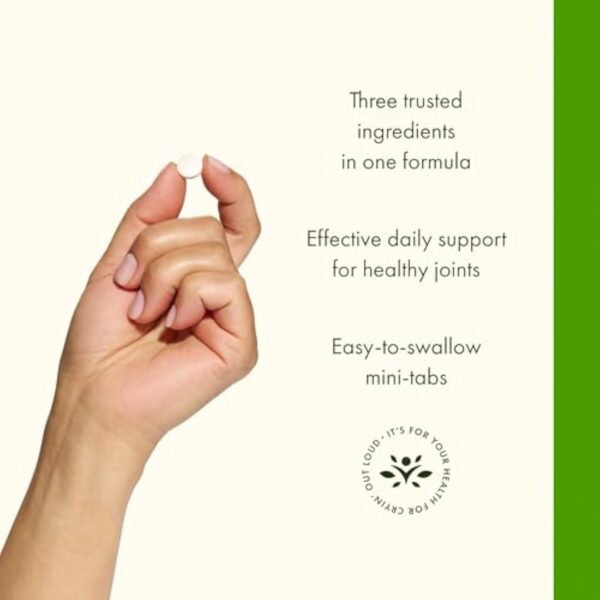 Glucosamine, Chondroïtine & MSM – 360 mini-comprimés – Image 5