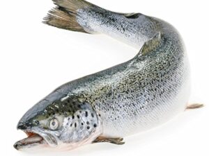 Greenfood Huile de poisson oméga 3, 1000 mg, dose extra élevée, 240 gélules - contribue au fonctionnement normal du cerveau. Sans additifs artificiels. Sans génie génétique.