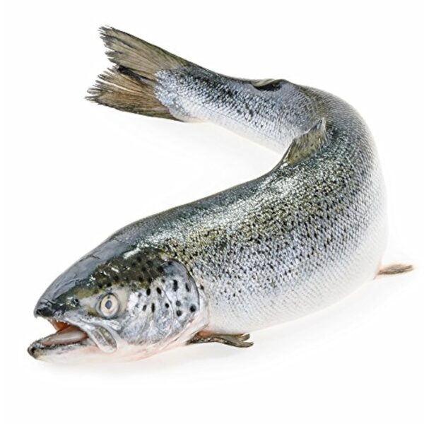 Greenfood Huile de poisson oméga 3, 1000 mg, dose extra élevée, 240 gélules - contribue au fonctionnement normal du cerveau. Sans additifs artificiels. Sans génie génétique. – Image 4