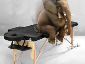Higliocas Table de massage pliable cosmétique : 2 zones en bois Table de massage mobile Lit de massage pour physiothérapie et tatouage