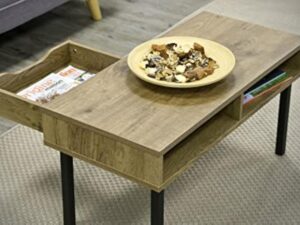 Iris Ohyama, Table de Salon, Table basse avec rangements, tiroir, Compartiment Ouvert/Pieds long avec protection, Contemporain, Bureau, Chambre - Center table - WCT-800 - Marron cendré