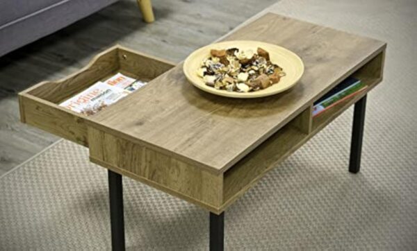 Iris Ohyama, Table de Salon, Table basse avec rangements, tiroir, Compartiment Ouvert/Pieds long avec protection, Contemporain, Bureau, Chambre - Center table - WCT-800 - Marron cendré – Image 7