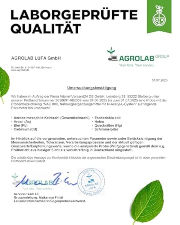 NAC - N-acétyl L-cystéine 240 gélules de 800 mg chacune - 8 mois d'approvisionnement - Forme naturelle - Vegan - Hautement dosé – Image 9