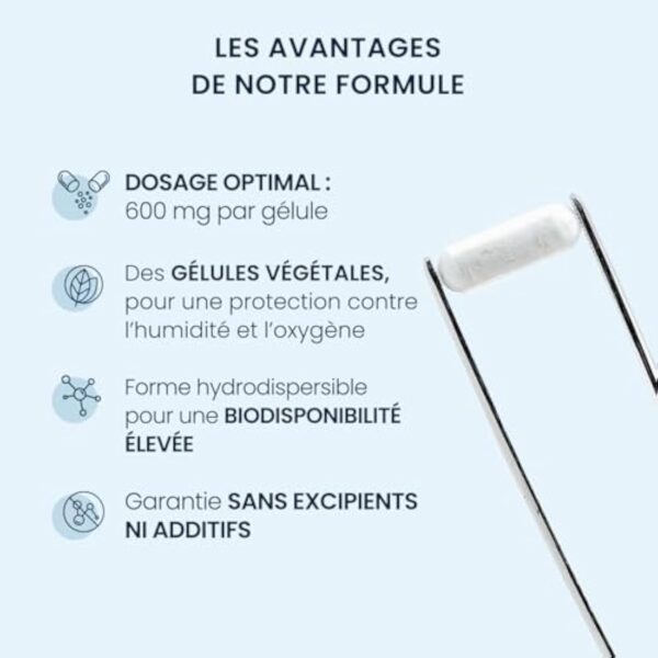 NAC N-acétylcystéine pure - 600mg / 60 Gélules - Bio-fermentation Naturelle - Acide Aminé précurseur du glutathion - Détoxification - Sans Additifs - Grade Pharmaceutique - Vegan - Dynveo – Image 6
