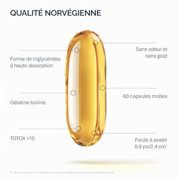 NFO OMEGA 3 1000 mg [60 Capsules] Huile de poisson norvégienne concentrée en EPA et DHA avec des triglycérides et vitamine E Complexe naturel de poissons sauvages fraîchement pêchésFabriqué en Norvège – Image 5