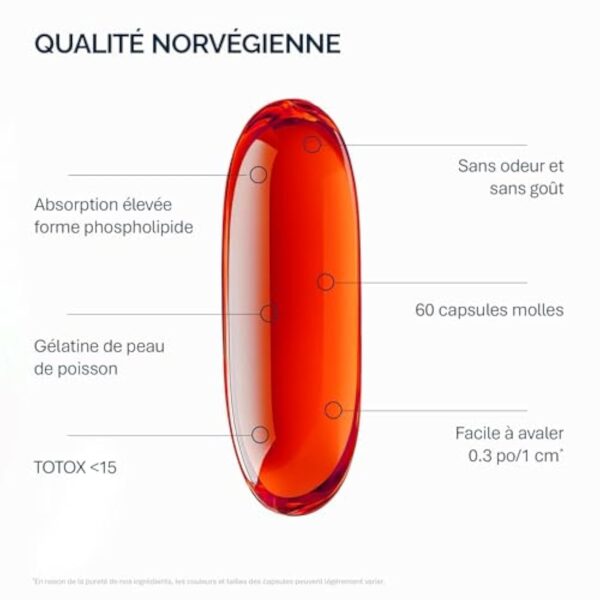 NFO OMEGA 3 KRILL OIL Astaxanthin [60 Capsules] - Huile de krill avec de l'huile de poisson norvégienne avec une dose élevée d'EPA et de DHA avec astaxanthine dans 1 gélule Fabriqué en Norvège – Image 5