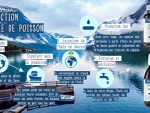 NORSAN Premium huile de poisson omega 3 Total Citron hautement dosé 200 ml / 2.000mg d’ omega 3 dose journalière/fish oil omega 3 1120mg EPA & 536mg DHA/huile poisson avec 800 IU de vitamine D3