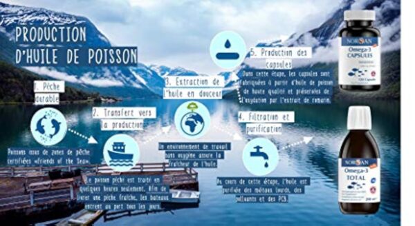 NORSAN Premium huile de poisson omega 3 Total Nature hautement dosé 200 ml / 2.000mg d’ omega 3 dose journalière/fish oil omega 3 1120mg EPA & 536mg DHA/huile poisson avec 800 IU de vitamine D3 – Image 6