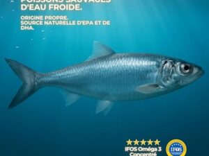 Omega 3 Capsules IFOS 3000mg avec Vitamine E, 30-90 portions - Life Pro Healthy, 35% EPA et 25% DHA, 3000mg par dose journalière, Supplément pour la santé cardiovasculaire, Huile Pure et distillée