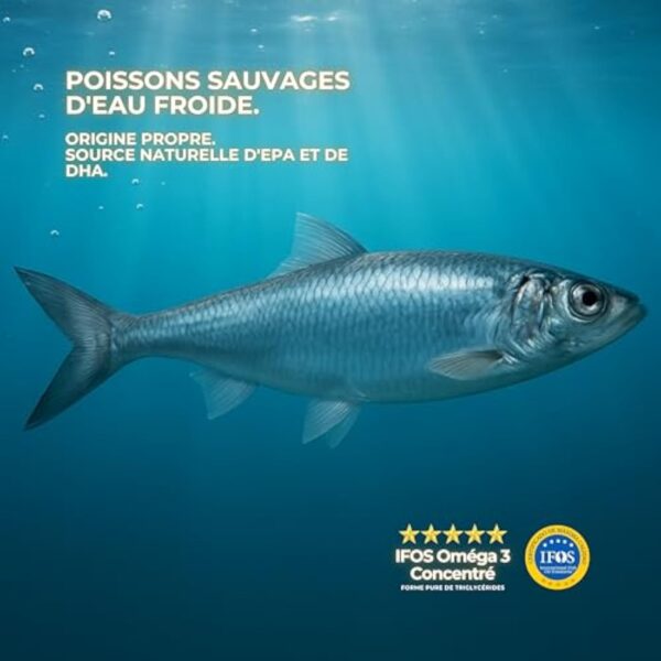 Omega 3 Capsules IFOS 3000mg avec Vitamine E, 30-90 portions - Life Pro Healthy, 35% EPA et 25% DHA, 3000mg par dose journalière, Supplément pour la santé cardiovasculaire, Huile Pure et distillée – Image 5