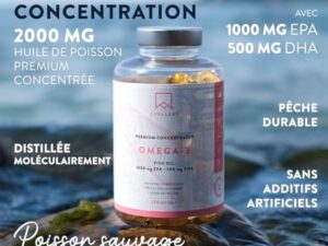 Omega 3 DHA EPA Huile de Poisson Sauvage 2000mg: 1000mg EPA + 500mg DHA par dose (2 gélules) - Complement Alimentaire Omega3 Fish Oil Concentration Pure et Forte en Oméga 3 et Vitamine E - 120 Gélules