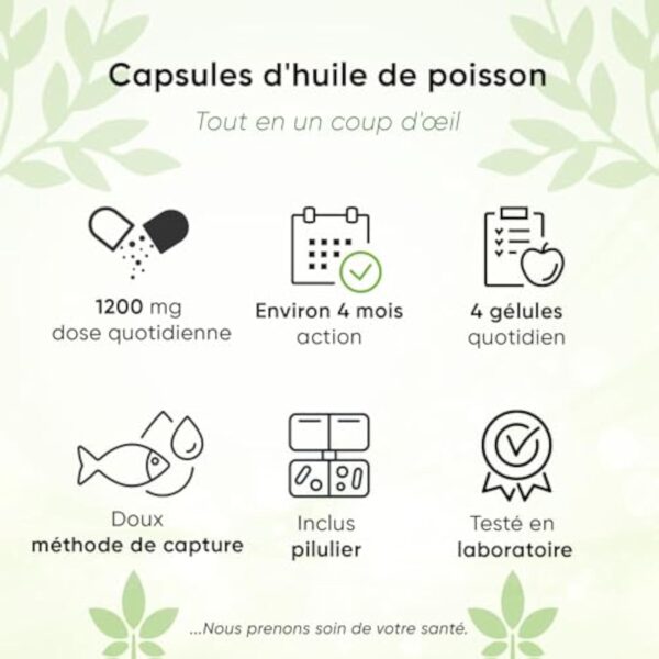 Oméga 3 Huile de poissons | Sauvages 4000 mg | 400 gélules | Pilulier | 720 mg EPA + 480 mg DHA par dose quotidienne | sans additifs | très haute pureté et biodisponibilité – Image 3