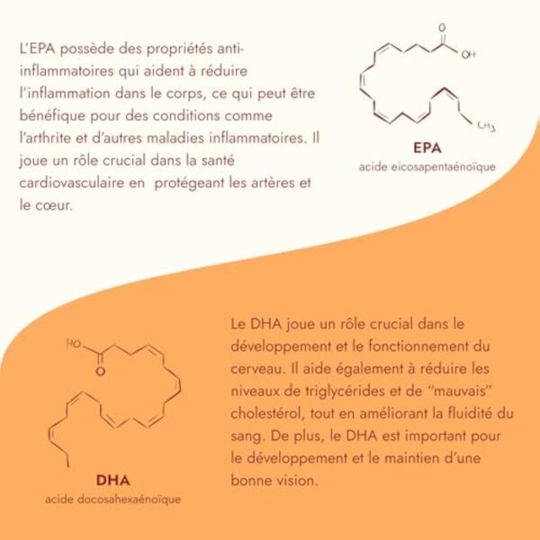 Omega 3 Huile de Poissons Sauvages 2000mg EPAX®, Très Haute Concentration EPA (800mg) et DHA (600mg), Totox < 3, 60 Capsules, Vitamine E, Anti Oxydation, Fabriqué en France – Image 5
