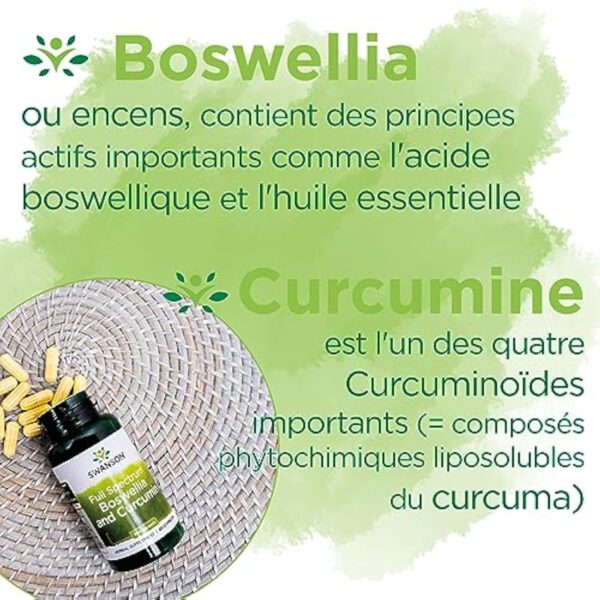 Swanson, Full Spectrum Boswellia and Curcumin, Encens et Curcuma, 60 Capsules, Hautement Dosé, Sans Soja, Sans Gluten, Sans OGM – Image 5