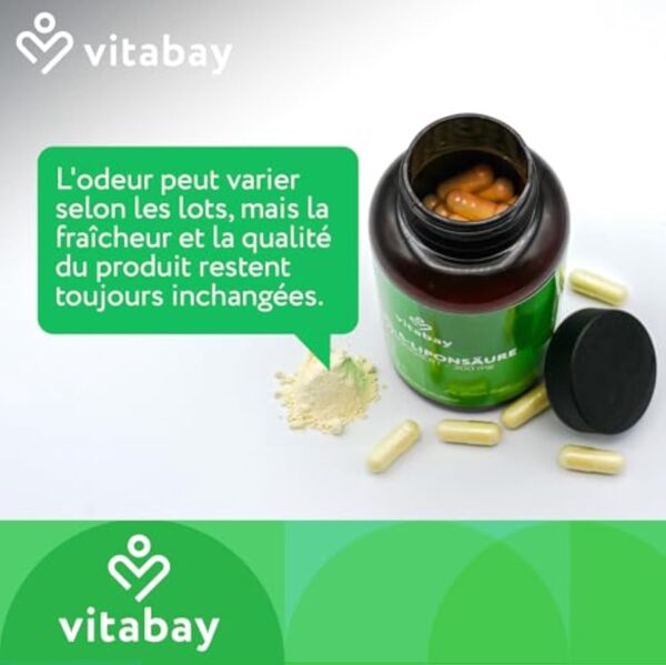 Vitabay Alpha Lipoic Acid 300 mg - 120 Gélules d'Acide Alpha-Lipoïque Végan et sans Additifs à Haut Dosage et à Libération Prolongée - ALA aux Huiles de Lin, Colza et Noix - Vérifié en Laboratoire – Image 4
