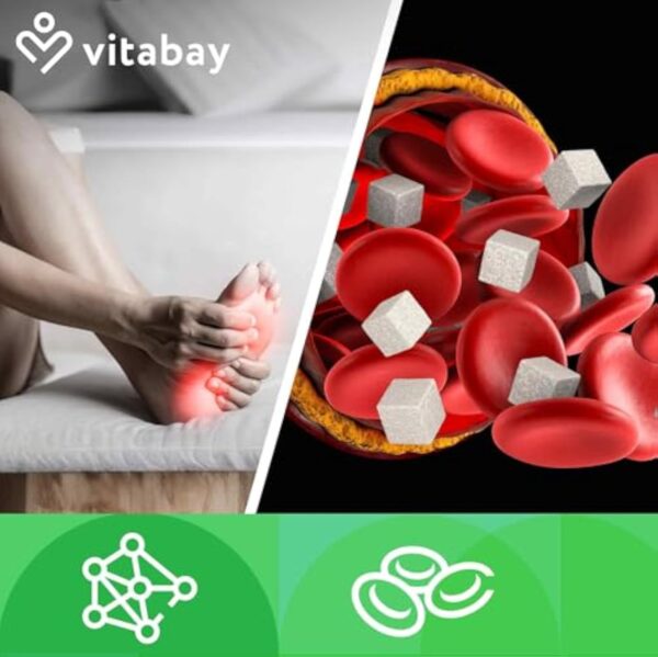 Vitabay Alpha Lipoic Acid 300 mg - 120 Gélules d'Acide Alpha-Lipoïque Végan et sans Additifs à Haut Dosage et à Libération Prolongée - ALA aux Huiles de Lin, Colza et Noix - Vérifié en Laboratoire – Image 5