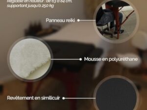 Vivezen - Table de Massage Pliante 3 Zones en Bois foncé avec Panneau Reiki + Accessoires et Housse de Transport - Noir