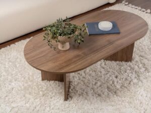 Hanah Home Élégante Table à café en Noyer, 119 x 60 x 39,8 cm, 100% mélamine, épaisseur 18 mm, Parfaite pour Les Salons Modernes et Les espaces