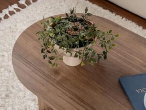 Hanah Home Élégante Table à café en Noyer, 119 x 60 x 39,8 cm, 100% mélamine, épaisseur 18 mm, Parfaite pour Les Salons Modernes et Les espaces