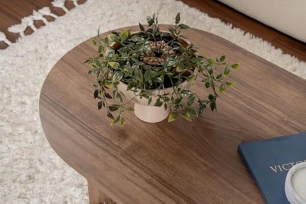 Hanah Home Élégante Table à café en Noyer, 119 x 60 x 39,8 cm, 100% mélamine, épaisseur 18 mm, Parfaite pour Les Salons Modernes et Les espaces – Image 7
